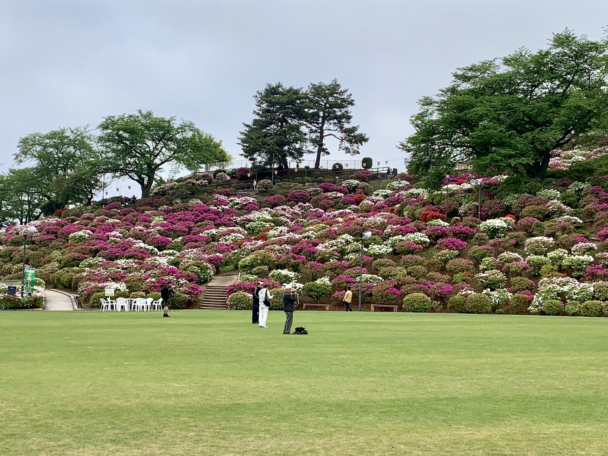 See Nishiyama Zoo S Tweet On May 4 19 Twitter
