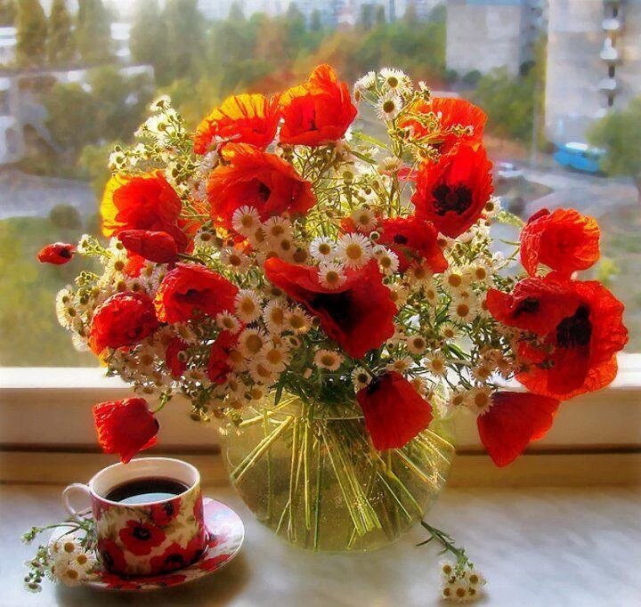 adly_elsayed tweet picture
