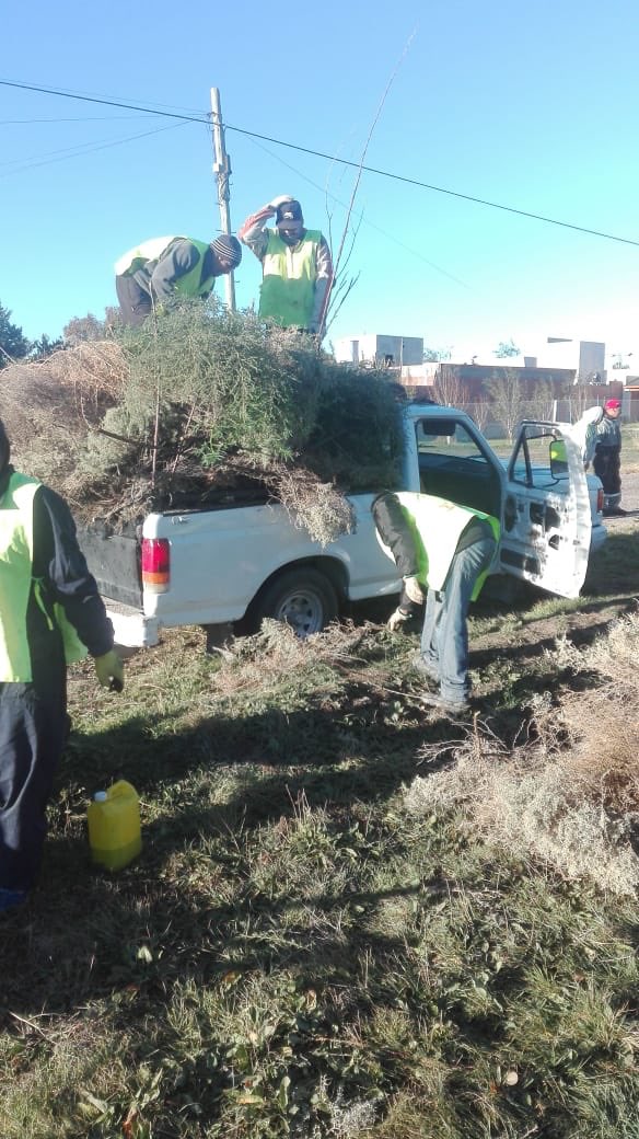 ✅Hoy <a href="/Axlainclusion/">Agrupacion x la Inclusion 💗</a> colaboró con la limpieza de un terreno baldío, el dueño del terreno fue notificado y al no dar una respuesta se lo multó. La limpieza de terrenos y baldíos no solo ayuda con la higiene, sino también con la prevención de delitos. 
✅ORDENANZA: 12484/16