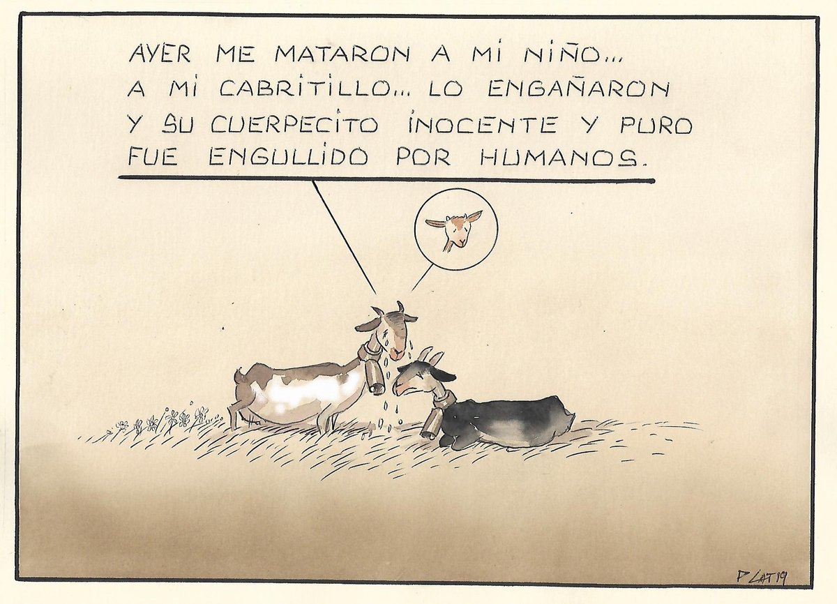 pacocatt's tweet photo. Mi viñeta de hoy sábado 4 de mayo de 2019.
Mañana se celebra el Día de la Madre. https://t.co/vpbgCXKqRH