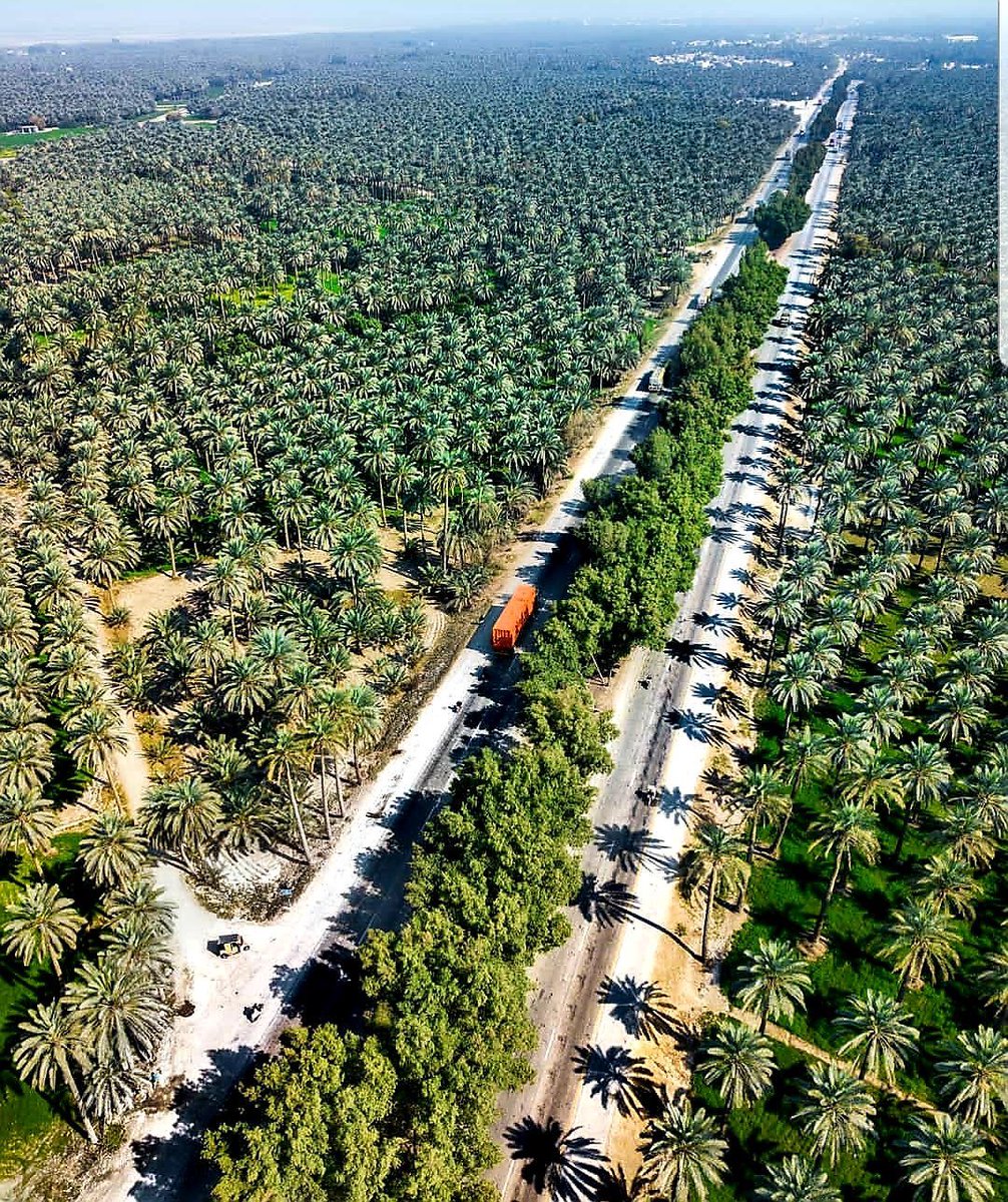 aseeldates's tweet photo. GNS Pakistan still maintains the top key player position in global Dates Market
https://t.co/y57TshlEhE
#aseeldates #dateprocessing #datespakistan https://t.co/dP5RQxxcyp