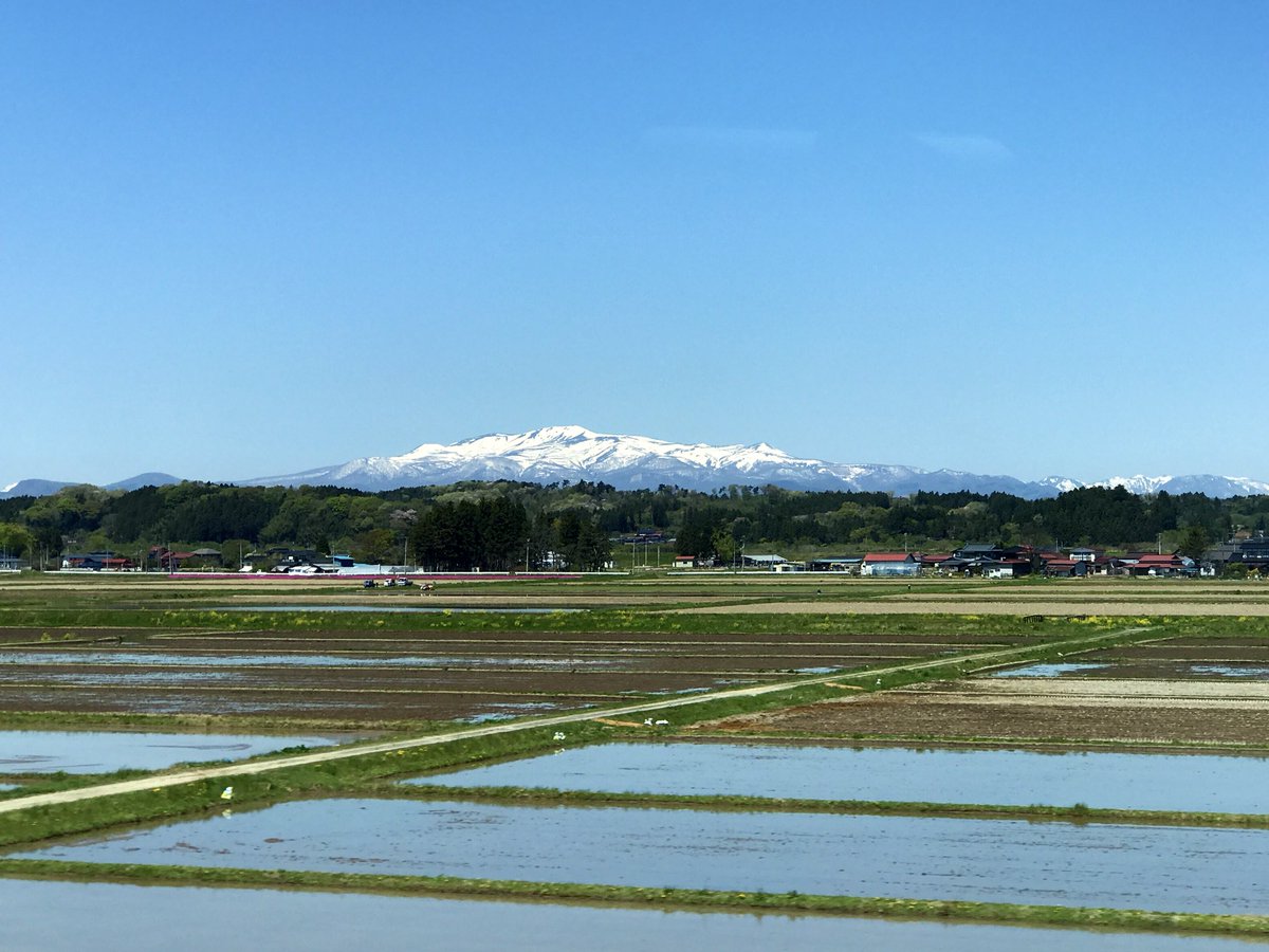 「山に雪積もってるよー☆ 」|山口勝平@「勝平大百科 50キャラで見る僕の声優史」発売中です❗️のイラスト