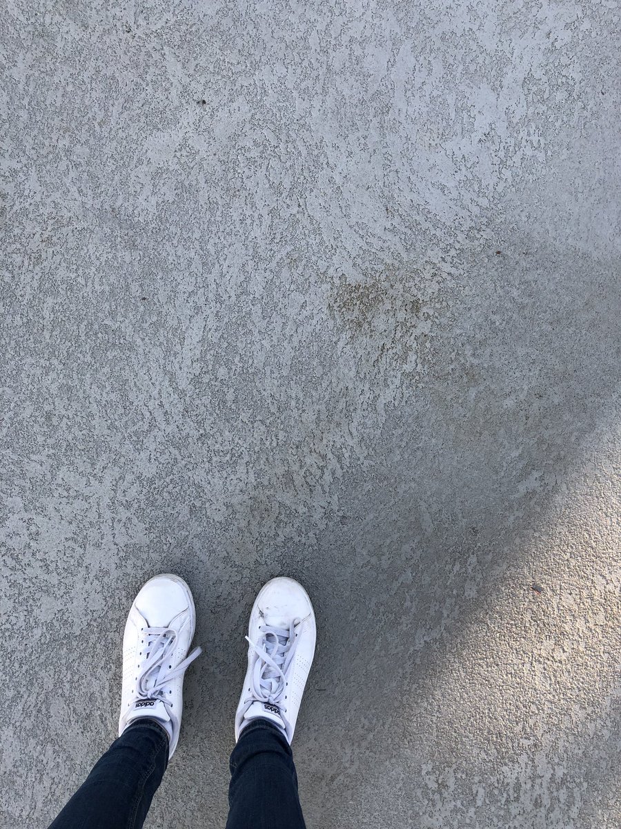 bmshier's tweet photo. Nature and Grey 
#LA https://t.co/9GVLjDmY0P