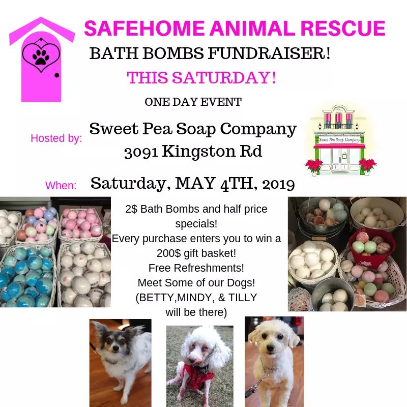SafehomeAnimalRescue (@Safehome_Rescue) / Twitter SafehomeAnimalRescue (@Safehome_Rescue) / Twitter