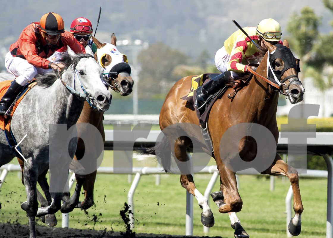 JFMIV's tweet photo. #GGFracing Another BlinkersOn win In NoCal https://t.co/g5XZfRDcqq