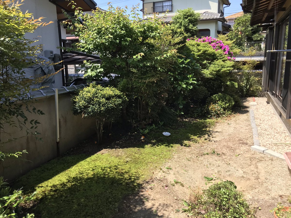 ごいち على تويتر 無秩序な庭を少し荒療治 ٩ ᐛ و というか年に数回しかできないので 荒療治にならざるを得ない 本当はもっと大胆にやりたいけど 笑 苔というのは手入れが大変 これでも雑草を取ったつもり 理想の庭づくりとは程遠い