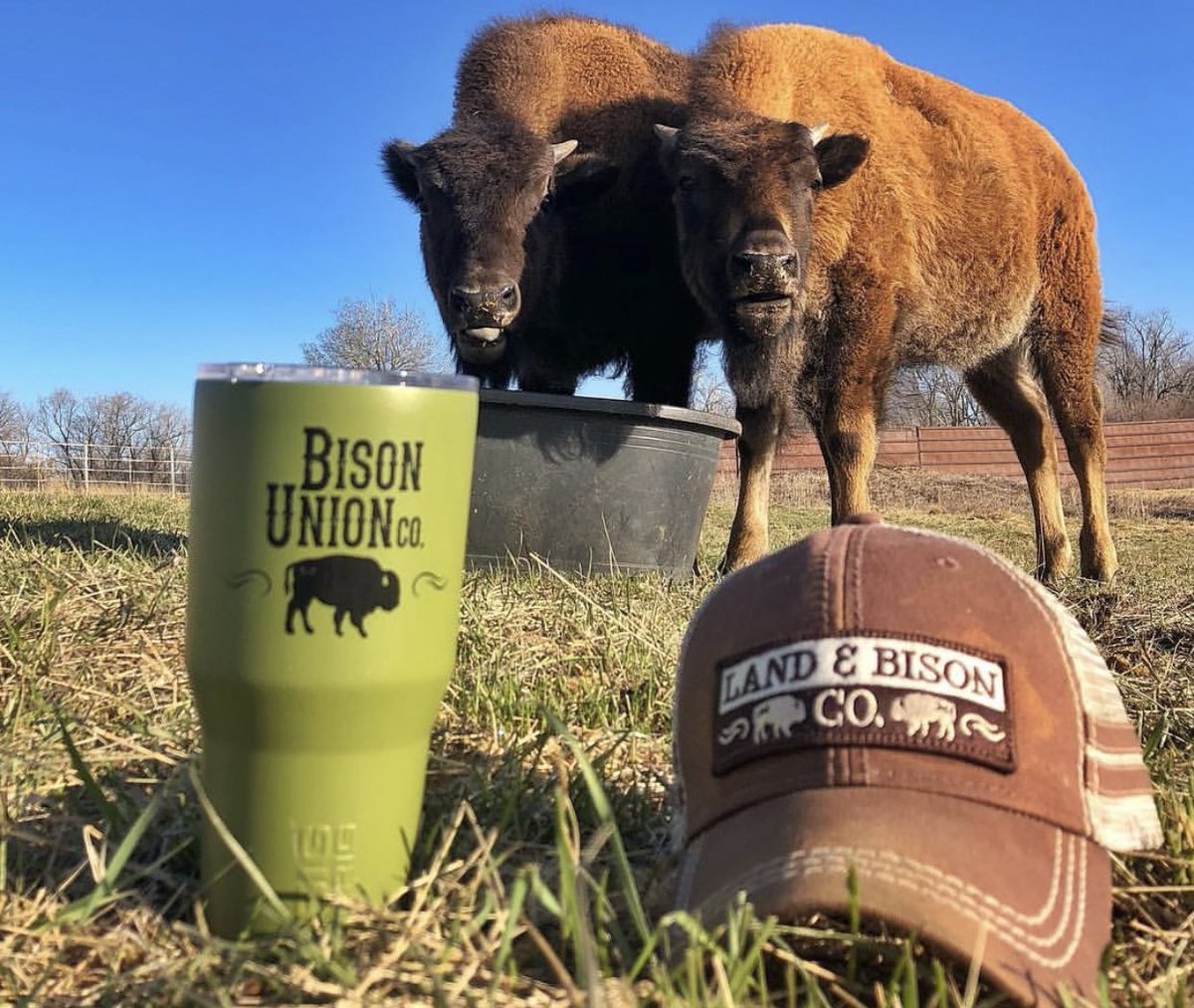 BisonUnion's tweet image. Pick one.  The mug or the hat.  Which would you choose?  #bisonunion