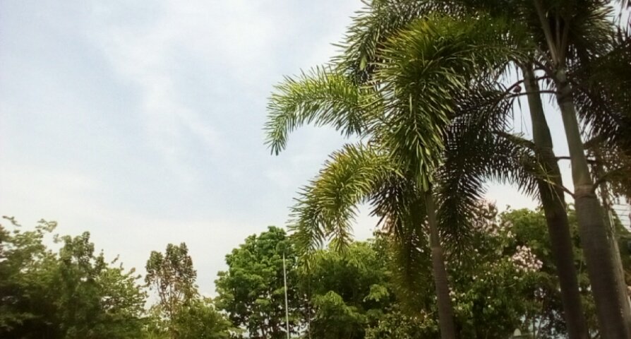 [•∆~Kaohorm~∆•]ft.เรียน tweet media
