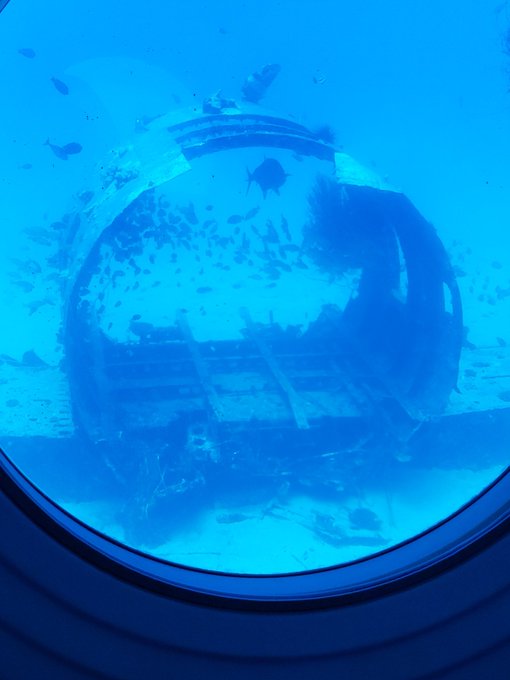 Went on a submarine dive today @bigp69696969 https://t.co/Ef6MBFSmT1<a class="tags" target="_blank" title="On Twitter" href="/?out=eyJ0eXAiOiJKV1QiLCJhbGciOiJIUzUxMiJ9.eyJpYXQiOjE3MjA5NDUwMzcsImlzcyI6InR3cG9ybnN0YXJzLmNvbSIsIm5iZiI6MTcyMDk0NTAzNywiZXhwIjoxNzUyNDgxMDM3LCJyZWRpcmVjdF91cmwiOiJodHRwczovL3R3aXR0ZXIuY29tL2JpZ3A2OTY5Njk2OSJ9.KWD3Uuo4QyIDb5pqWlMpnmpoTbSHwKcHeHY1Txpq8wDTyUuOb2BrkOLPm3g6gnWgF86i3ZOJRFEYrigOlHN6KA">@bigp69696969</a><a href="/tag/adameveavn2019"class="tags"><span>#adameveavn2019</span></a>