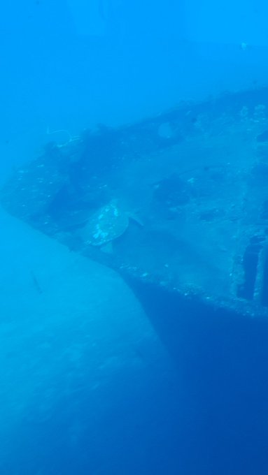 Went on a submarine dive today @bigp69696969 https://t.co/Ef6MBFSmT1<a class="tags" target="_blank" title="On Twitter" href="/?out=eyJ0eXAiOiJKV1QiLCJhbGciOiJIUzUxMiJ9.eyJpYXQiOjE3MjA5NDUwMzcsImlzcyI6InR3cG9ybnN0YXJzLmNvbSIsIm5iZiI6MTcyMDk0NTAzNywiZXhwIjoxNzUyNDgxMDM3LCJyZWRpcmVjdF91cmwiOiJodHRwczovL3R3aXR0ZXIuY29tL2JpZ3A2OTY5Njk2OSJ9.KWD3Uuo4QyIDb5pqWlMpnmpoTbSHwKcHeHY1Txpq8wDTyUuOb2BrkOLPm3g6gnWgF86i3ZOJRFEYrigOlHN6KA">@bigp69696969</a><a href="/tag/adameveavn2019"class="tags"><span>#adameveavn2019</span></a>