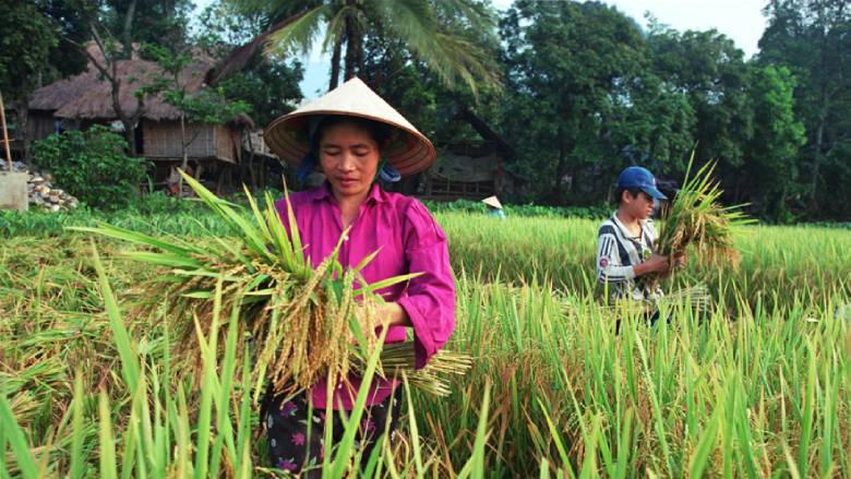 #Vietnam's Mekong Delta region is one of the world's great centers of rice production, but also highly vulnerable to #climatechange.  Find out how the <a href="/WorldBank/">World Bank</a> is helping the area secure water resources &amp; build climate resilience: wrld.bg/6RqH30oD8LY #WaterSolutions
