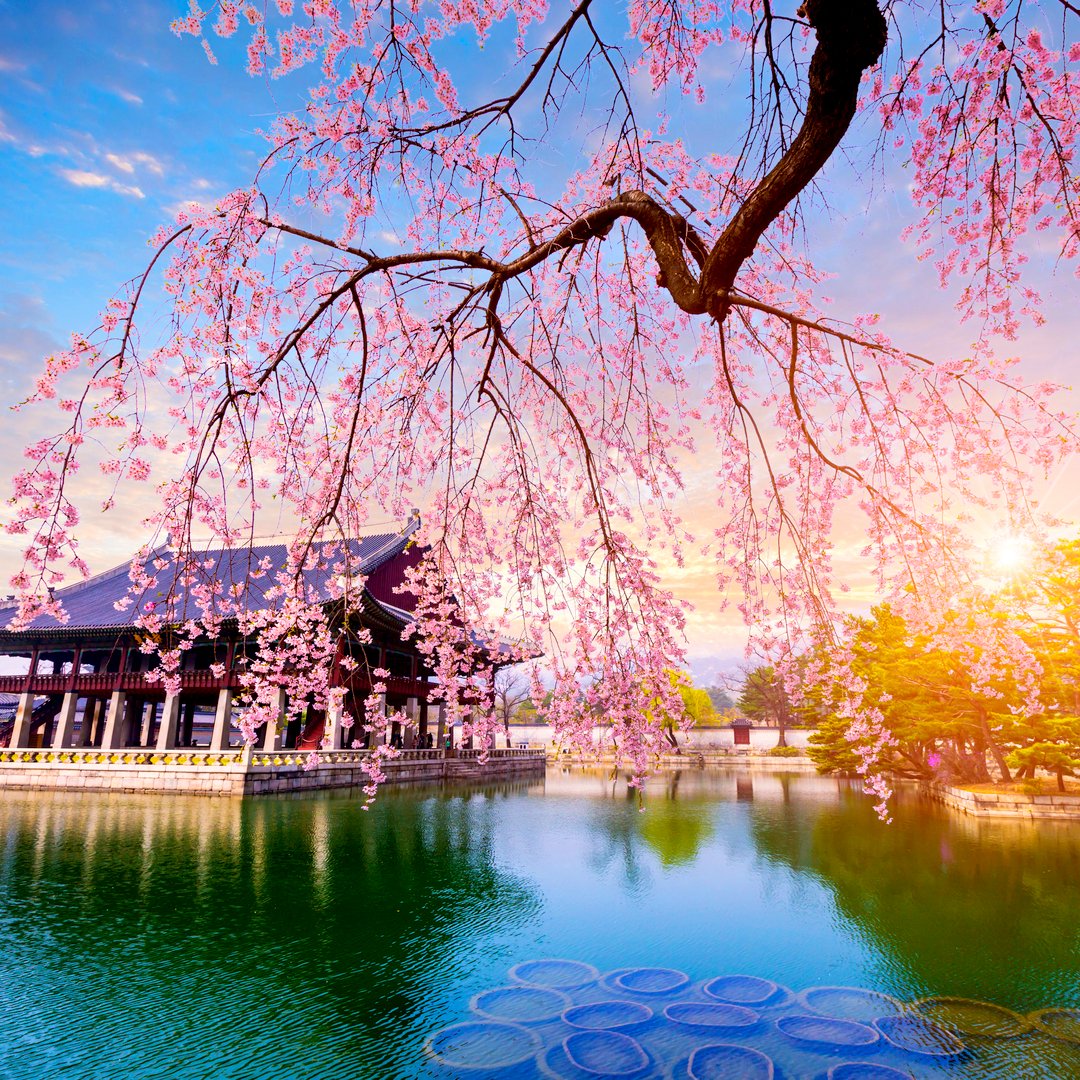 joingopher's tweet image. 📍Seoul, South Korea bit.ly/2EEkyq4