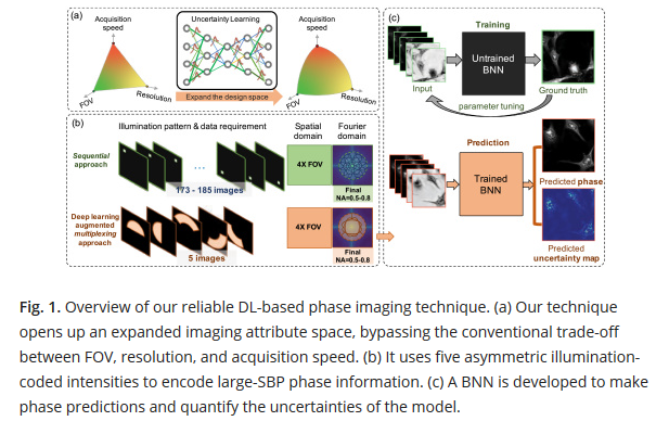 AutonomicAus's tweet photo. Reliable deep-learning-based phase imaging with uncertainty quantification, by researchers at @BU_ece
https://t.co/2nCELbTlaZ
#phaseimaging #computationalmicroscopy #computationalimaging #computationalmedicine #deeplearning #bioinformatics #bioimaging #Bayesianstatistics https://t.co/IjNGWEoPec