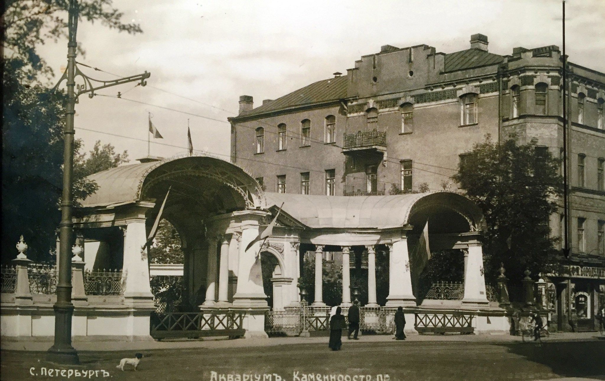 1896 В Петербурге в саду аквариум состоялся первый в России киносеанс.