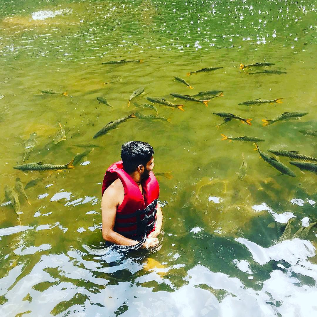 Dudhsagar falls in May 
instagram.com/p/BxBsN0-Hq_k/
#GoaTourism #Goa #Goatrip #Dudhsagar #waterfall