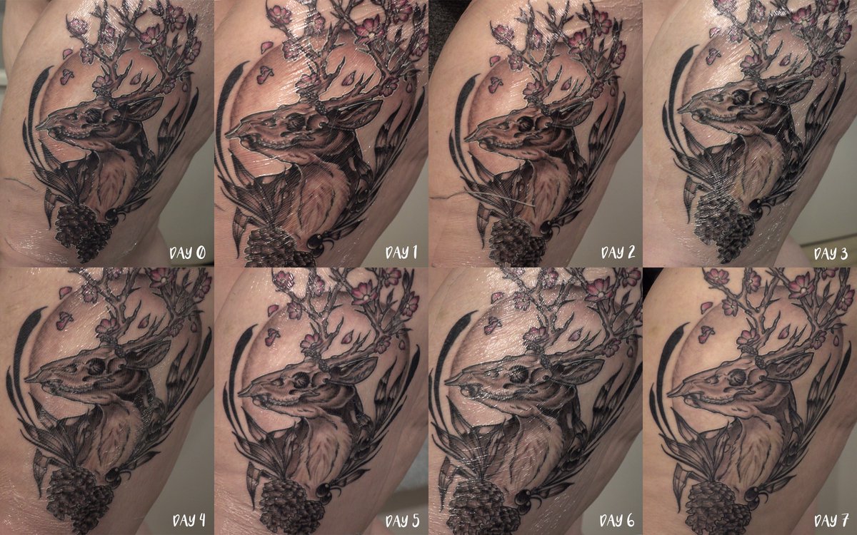 tattoo care  La Mort Tattoo