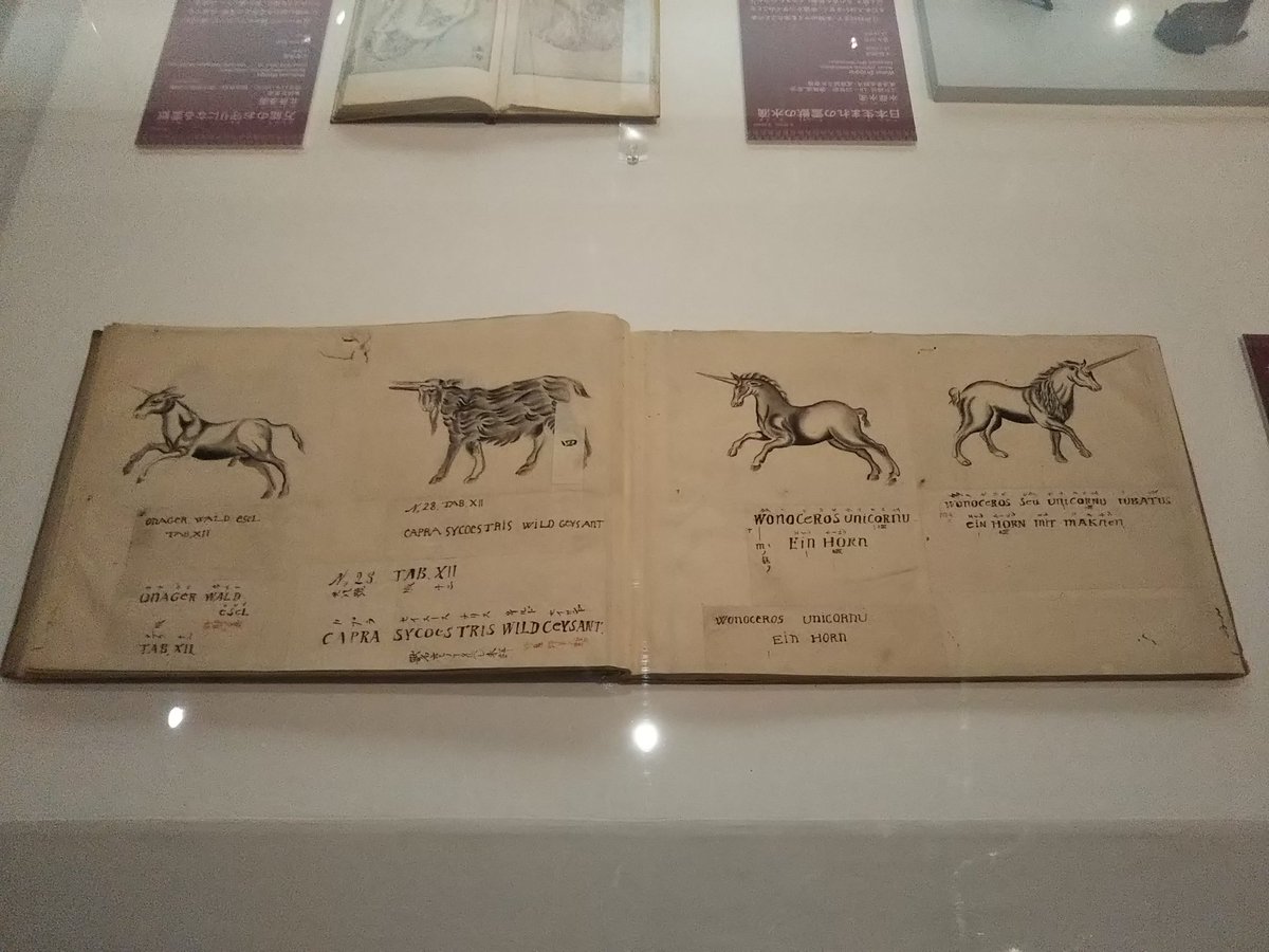 黒織部 V Twitter ツノのある動物 博物館図譜 百鳥図 異獣類 図鑑に収められたユニコーン 東博