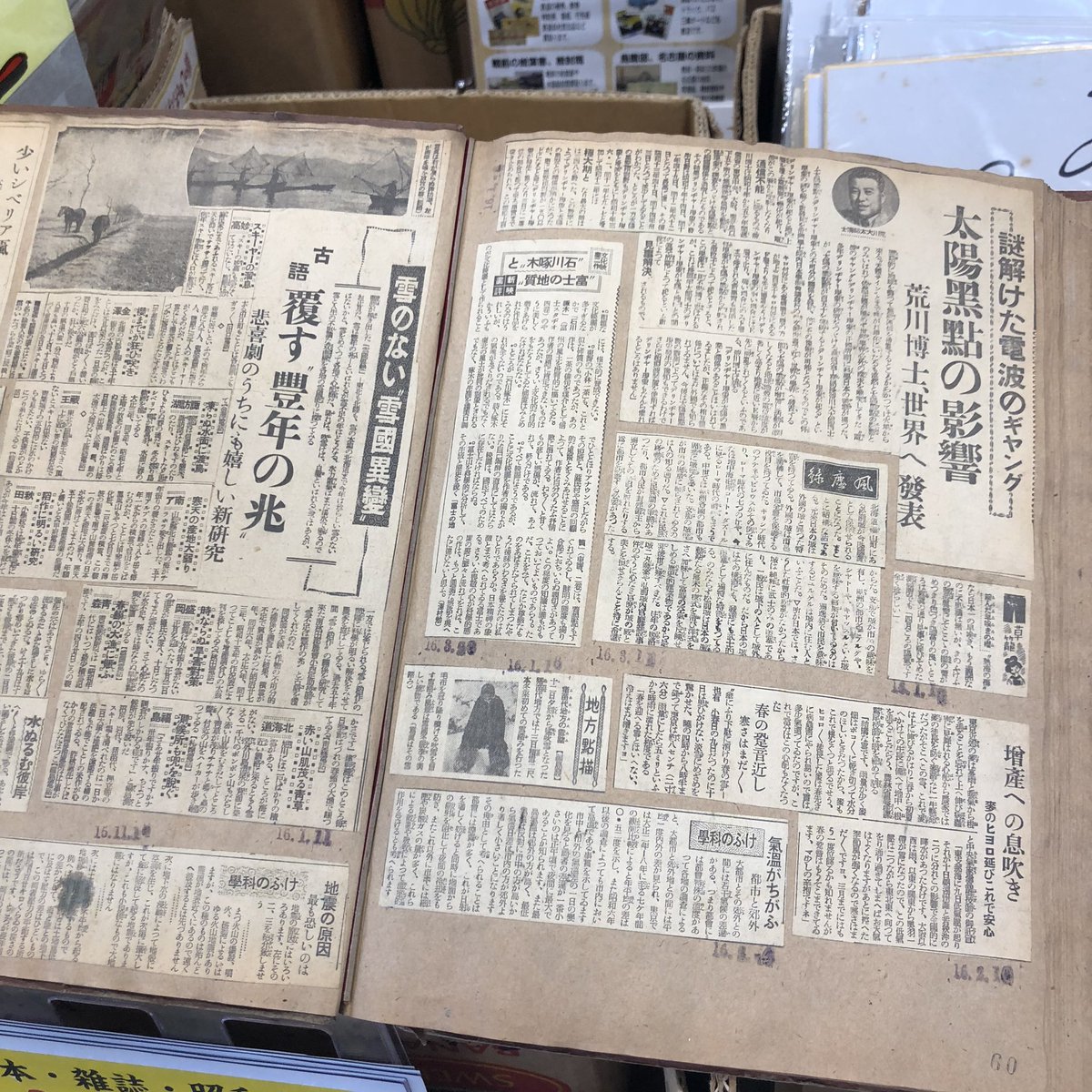 名古屋骨董市で誰かの作ったスクラップブック見てる 