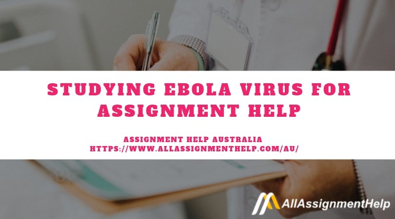 earnwsidehustl's tweet image. STUDYING EBOLA VIRUS FOR ASSIGNMENT HELP
justpaste.it/ebola-virus-fo…
#Ebola_assignment_help, #online_assignment_help, #assignment_help_Australia