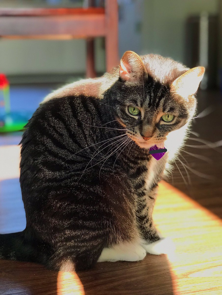 Lucy appreciation post 🥰