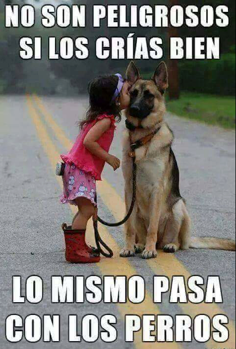 DEFENSA ANIMALISTA tweet media