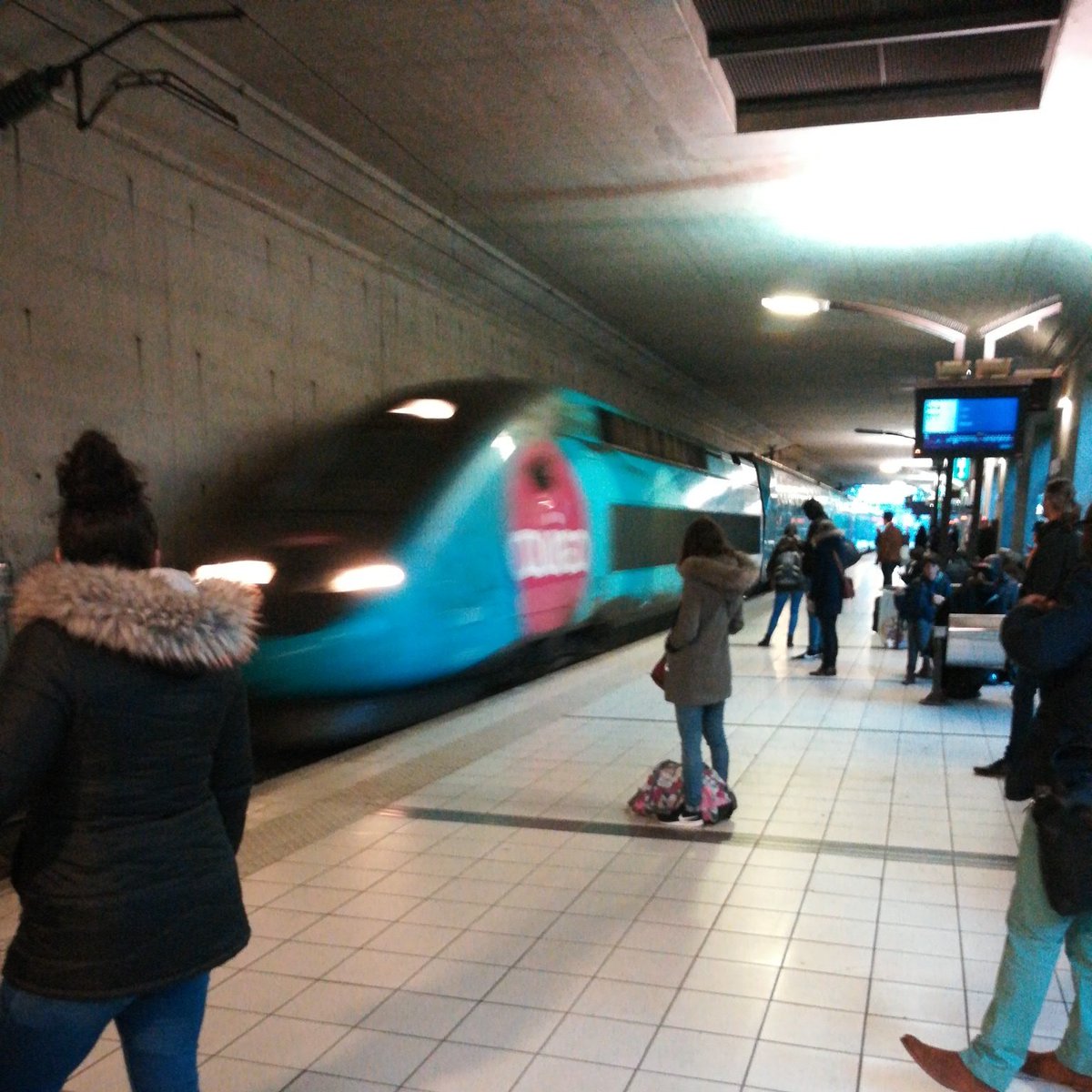 graphiquecreamd's tweet photo. C'est partis avec @ouigoSNCF, direction l'air frais. Au passage, petit baptême des transports en commun pour le 😺 #ouigo7601 https://t.co/58BeSKnHEC