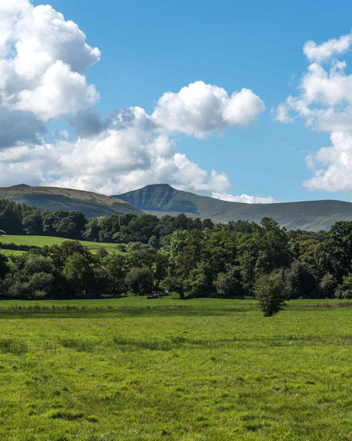 Settlers 🌿 100 days until the Black Mountains beckon us in once again. Who's Settling in with us?

📸 <a href="/Lucy_gold/">Lucy Gold</a>