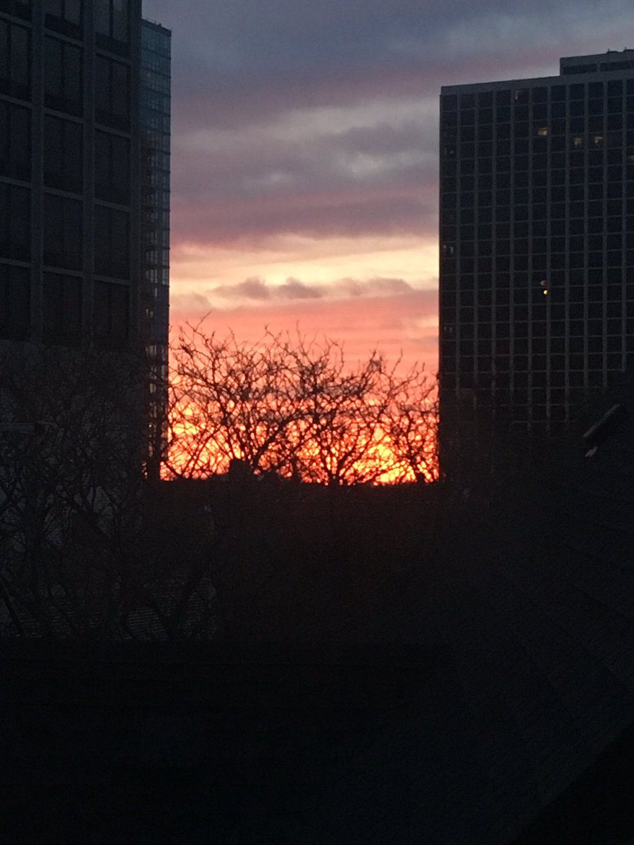 ChiCityColleges's tweet image. Rise and shine! It’s graduation day! #gradccc