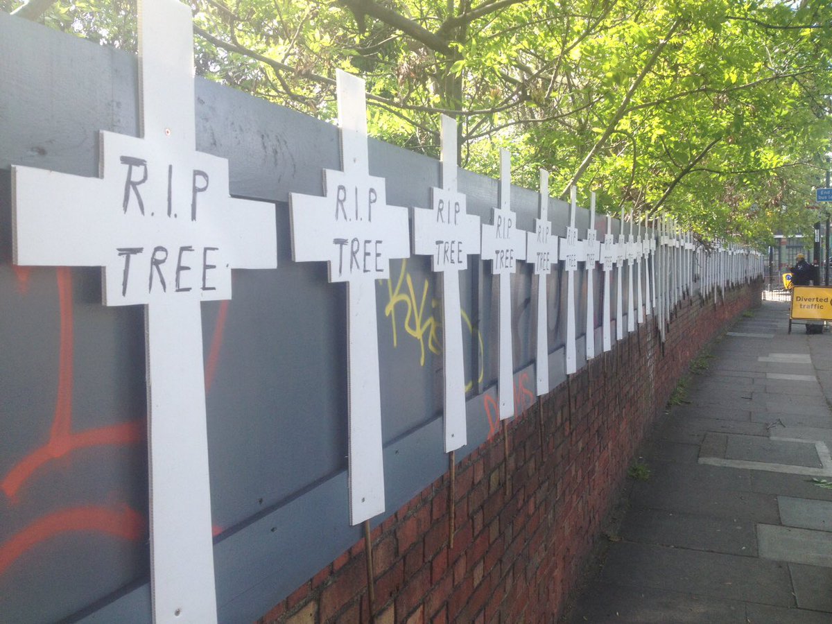 Save Achilles Area tweet media