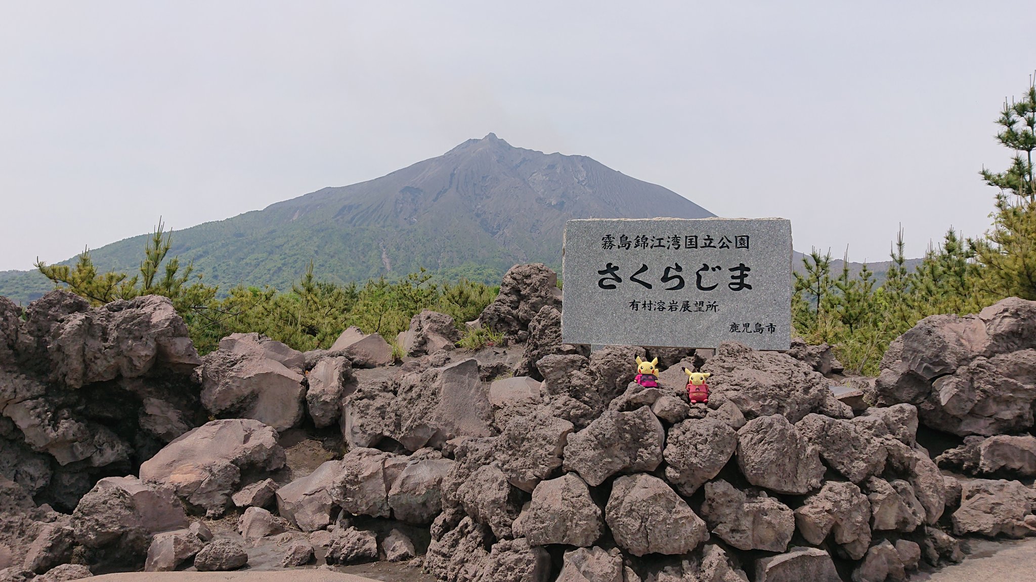 おくりびやま Twitter Search Twitter