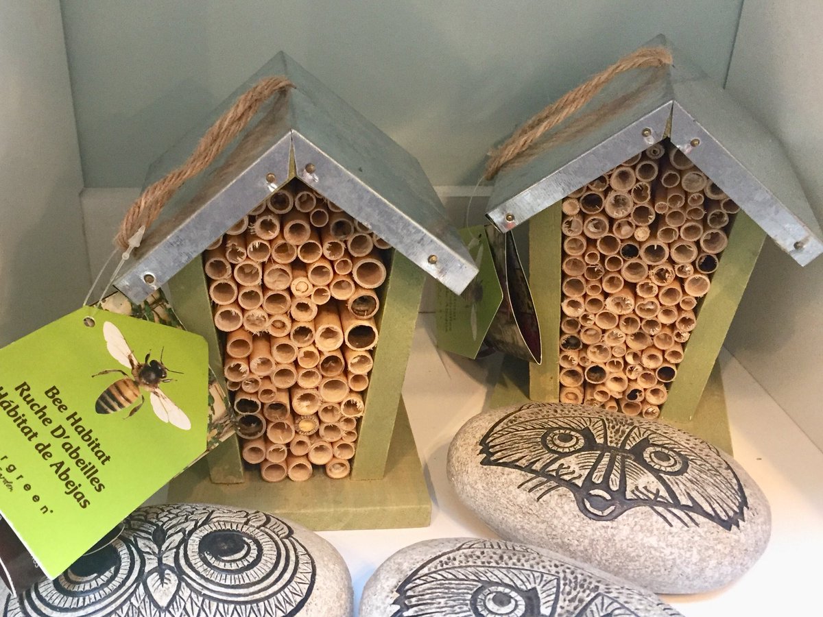 Here's another example of a mason bee house that should be condemned. You can tell by the tag (showing a honey bee) that the manufacturer doesn't know anything about mason bees. If you see garbage like this for sale, say something.