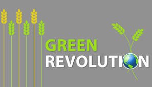 We’re a team who wants to connect with the audience with a passage of rich knowledge.
Our aim is to reach each and every mind with our research and study.
New article up Check out on Krishonnatiyojana.com
#krishonnatiyojana  #GreenRevolution #SaturdayMotivation #Website
