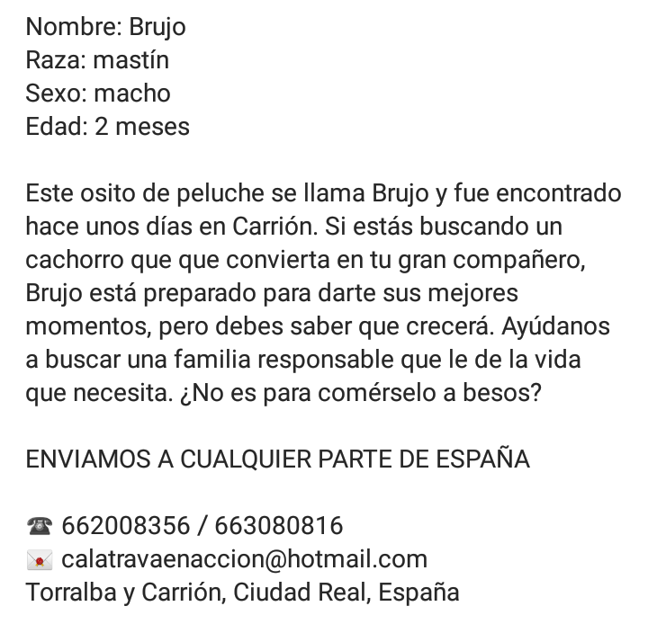 Calatrava en Acción tweet media