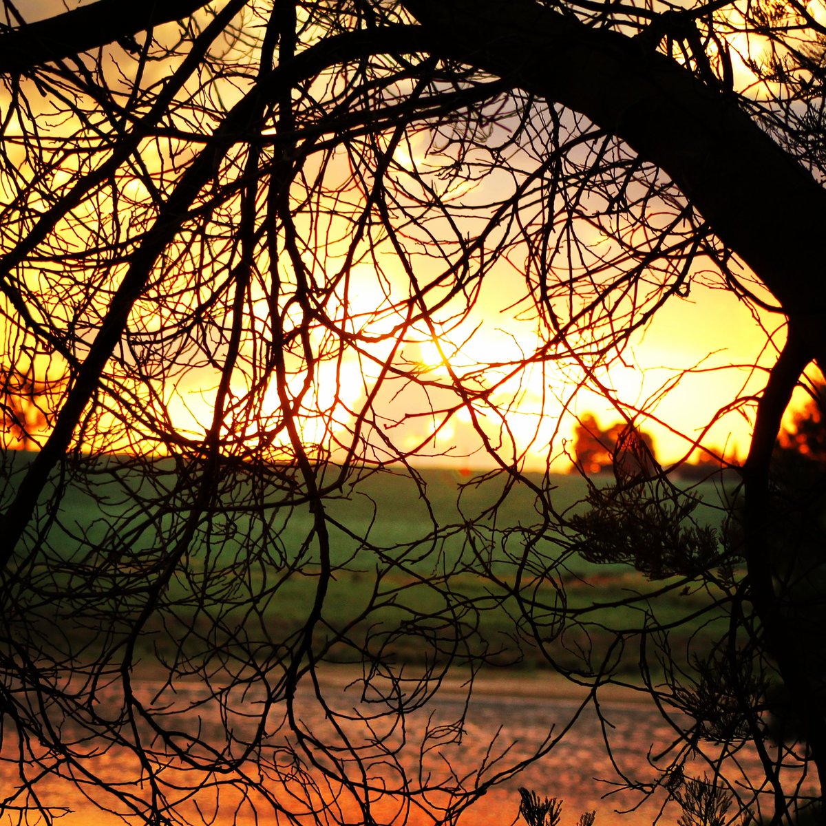 Oh the view! Magnificent!
#poormansbivvylife