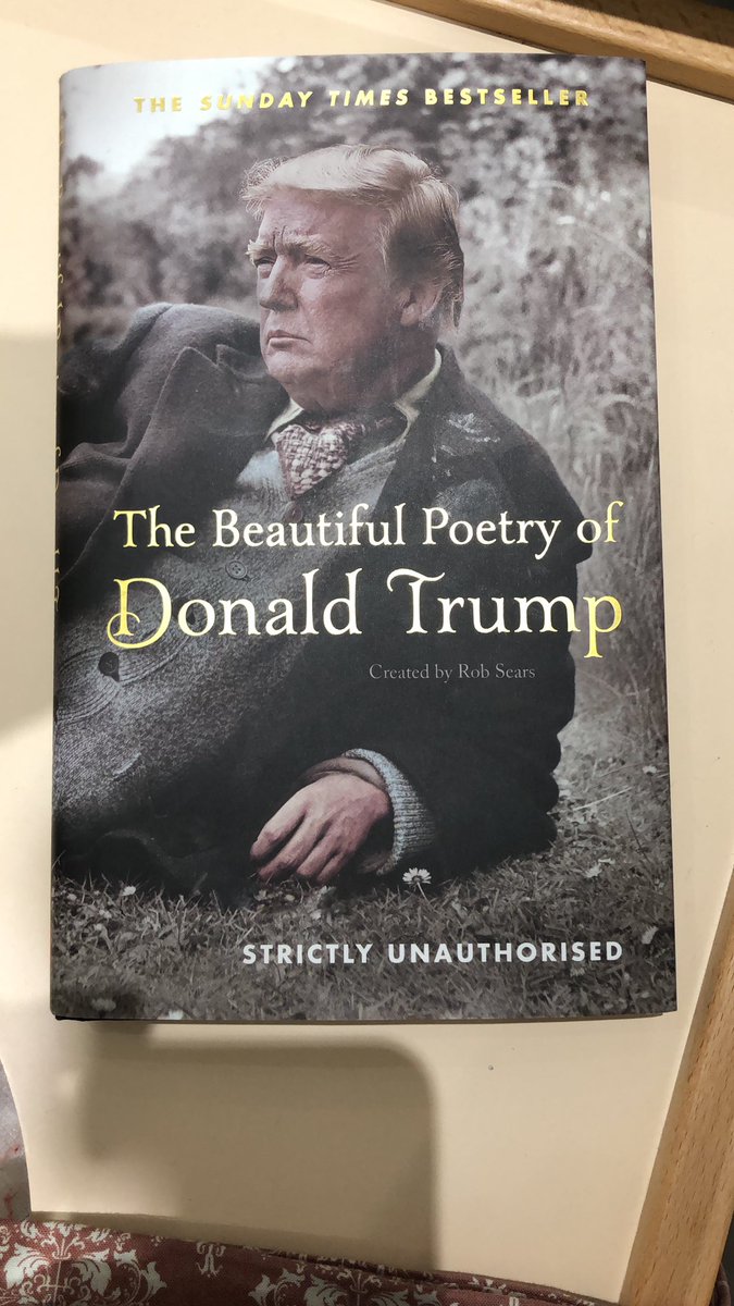 JohnPugh's tweet photo. Proud owner of this book The Poetry Of Donald Trump, a prize for giving the most to the @AccentureACTIVE community #InteractiveInTheWoods #Pine111 https://t.co/VYiA90IW4p