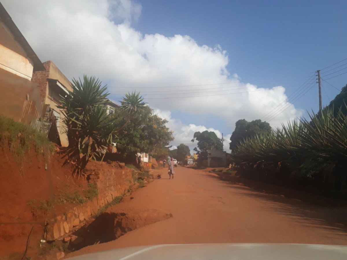 Maro_thegreat tweet media