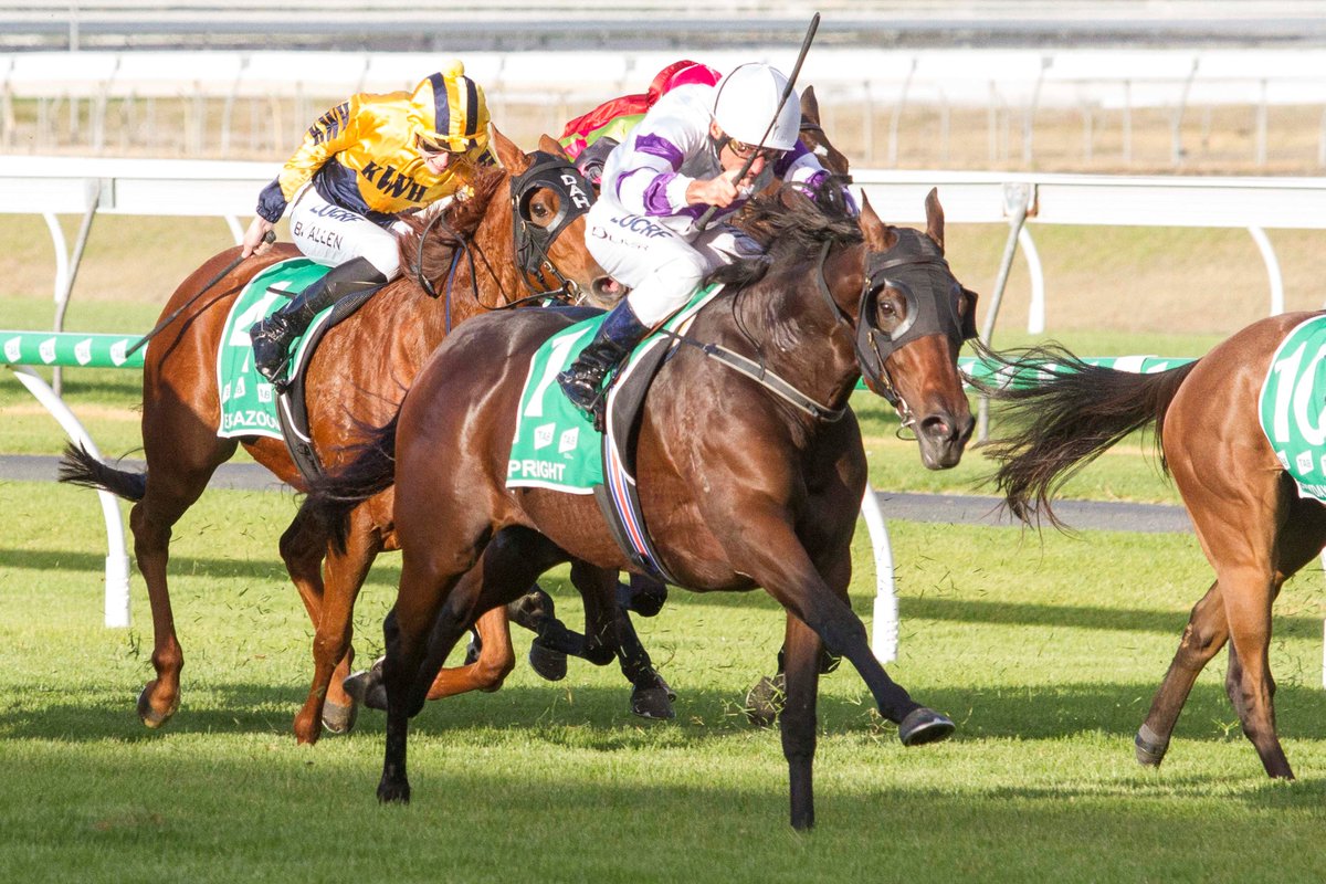 Spright, you are a superstar! 💫 🌟  ✨

Group 1 glory is yours. @TheRacesSA