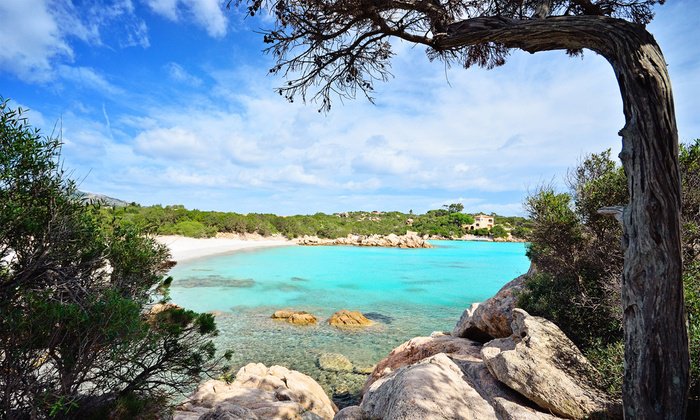 GrouponNED's tweet image. In Geovillage 4* Sport Wellness &amp;amp; Convention Resort in Sardinië kom je niks te kort. En met deze deal al helemaal niet want de retourvlucht en het ontbijt worden ook voor je geregeld. gr.pn/2J3QYjw