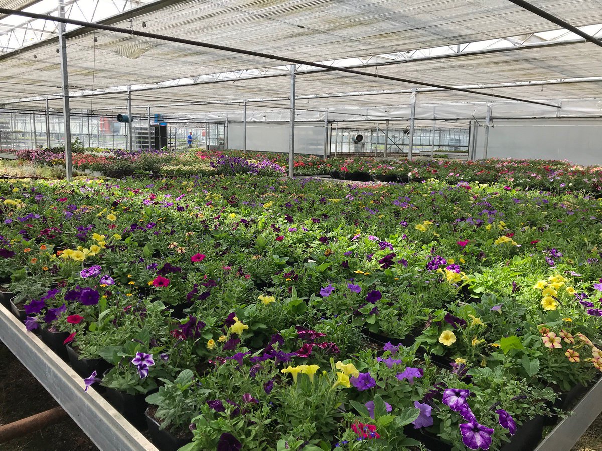 Chester BID tweet media