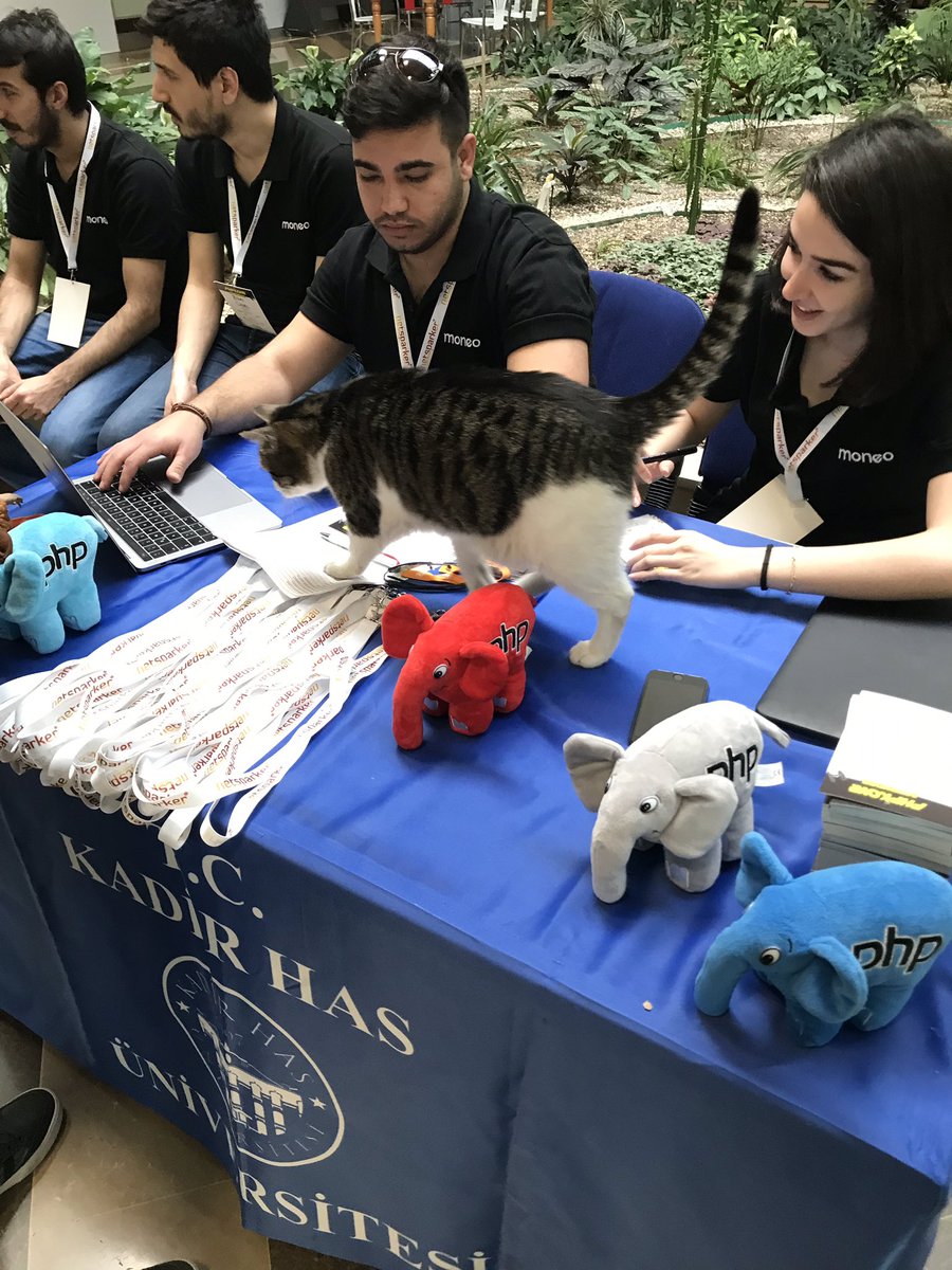 Ne demek benim adım yok? İyi bak iyi 🐈🧐 #PHPKonf <a href="/itsmoneo/">Moneo</a>