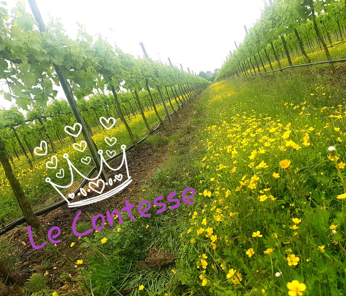 le_contesse's tweet photo. have a nice weekend 😘😘😘😘 https://t.co/jF5Rjdb5gt
