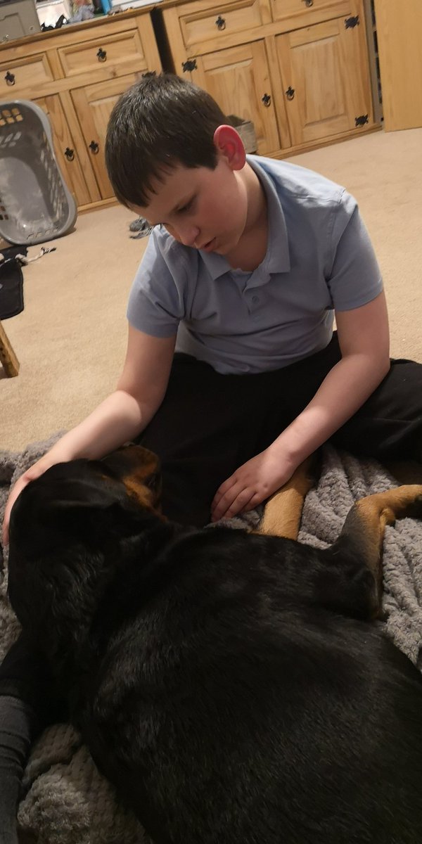 Something Special Happening. #browneyedpup #Gofundme #Donate justgiving.com/crowdfunding/b… #autism #rescuedog #handsome