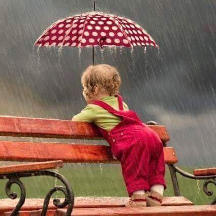 💕🌺🐯❤️👼🏻🌺💕