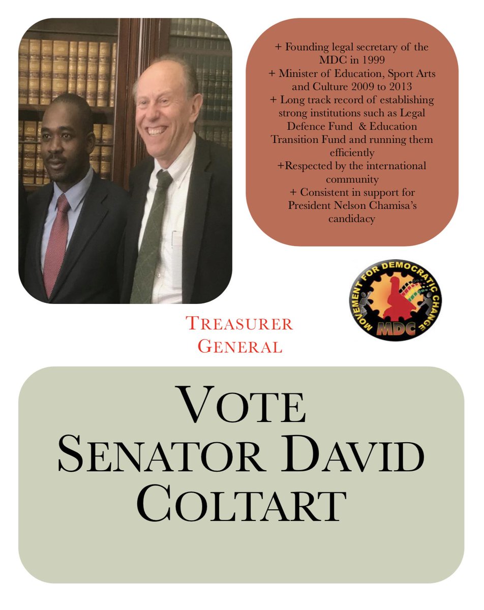 My campaign flier for the post of MDC Treasurer General. Please share if you feel so inclined!