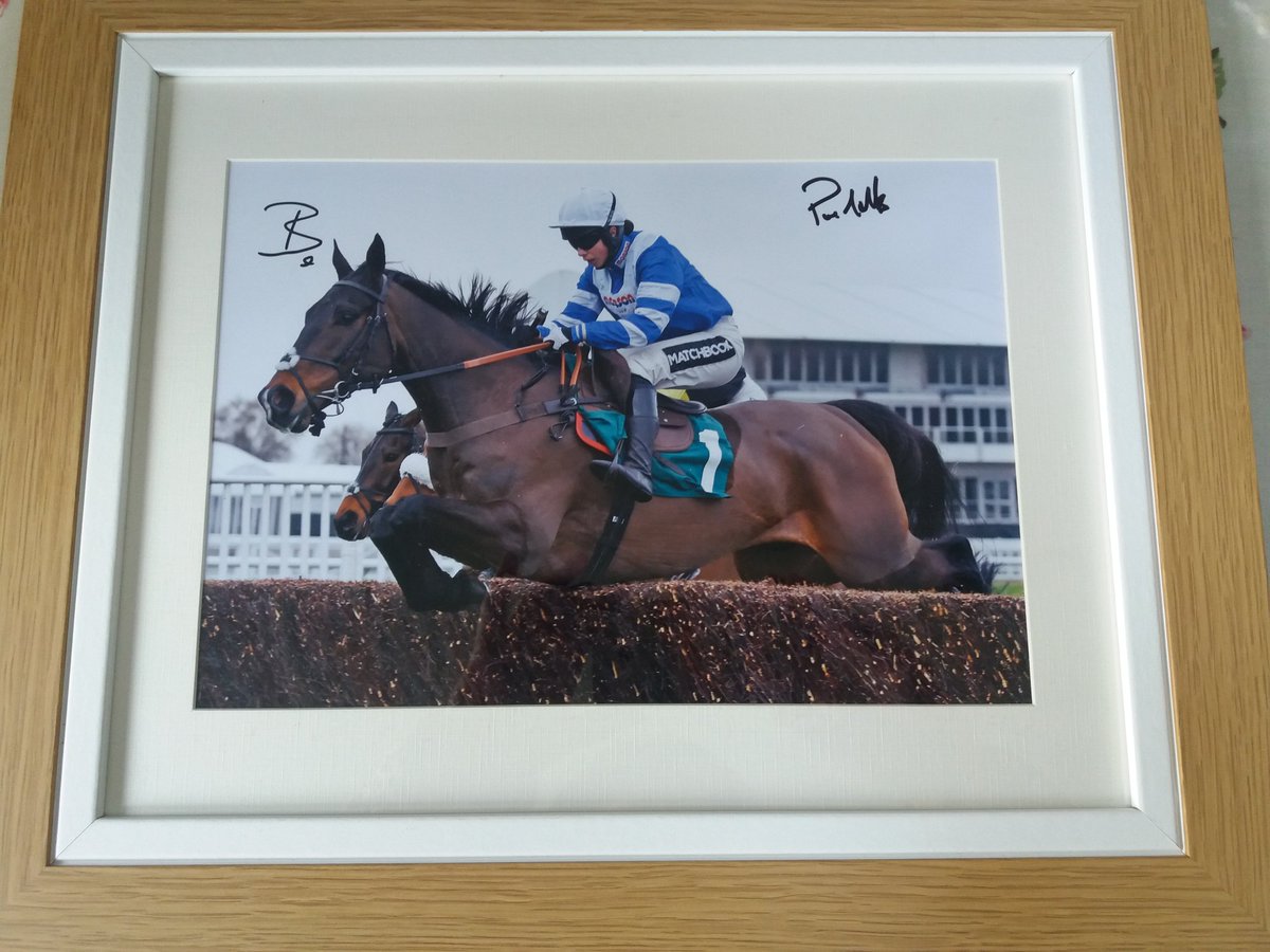 Delighted to win this wonderful framed photo taken by @FranAltoftPhoto of Bryony Frost and Frodon winning The Ryanair Chase @CheltenhamRaces signed by Bryony and @PFNicholls in an auction with all proceeds going to the Injured Jockey Fund. @IJF_official
