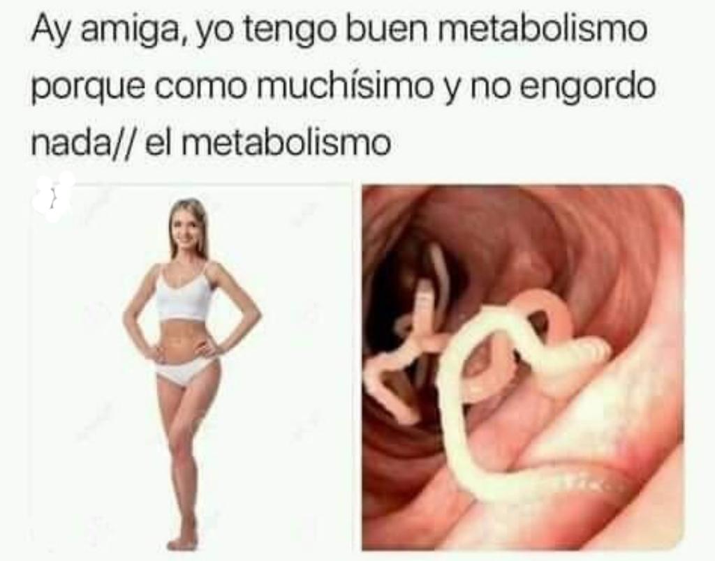 Simbionte Facultativo (@simbiontefacu) on Twitter photo 
