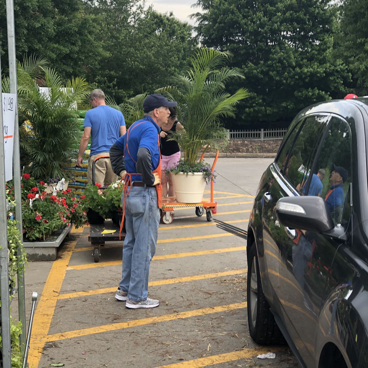 Ben@Rambonursery (@benrambonursery) on Twitter photo People love the big containers #motherday <a href="/freddyplants/">Fplants</a> <a href="/Darla_K_Davis/">Darla K Davis</a> <a href="/ChrisBergHD/">@ChrisBergHD</a> <a href="/RamboNursery/">Rambo Nursery</a> store 146 People love the big containers #motherday <a href="/freddyplants/">Fplants</a> <a href="/Darla_K_Davis/">Darla K Davis</a> <a href="/ChrisBergHD/">@ChrisBergHD</a> <a href="/RamboNursery/">Rambo Nursery</a> store 146