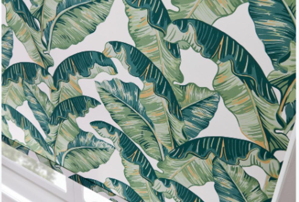 Bring a touch of nature into your #Chelmsford home with the strong hints of green &amp; white with our #Louvolite #Patterned #PalmLeaf #RollerBlinds. The #Antibacterial material stays germ-free. Discover our #MadeToMeasure #Curtains #Blinds #Nets &amp; #Shutters …/buff.ly/2S48yVK