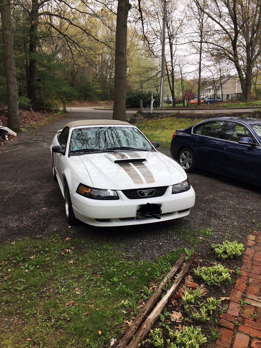 M_Spagetti's tweet image. @TheHornyMike @RyanAtCounts @CountsKustoms  #outofstorage #mustang02
#letthefunbegin