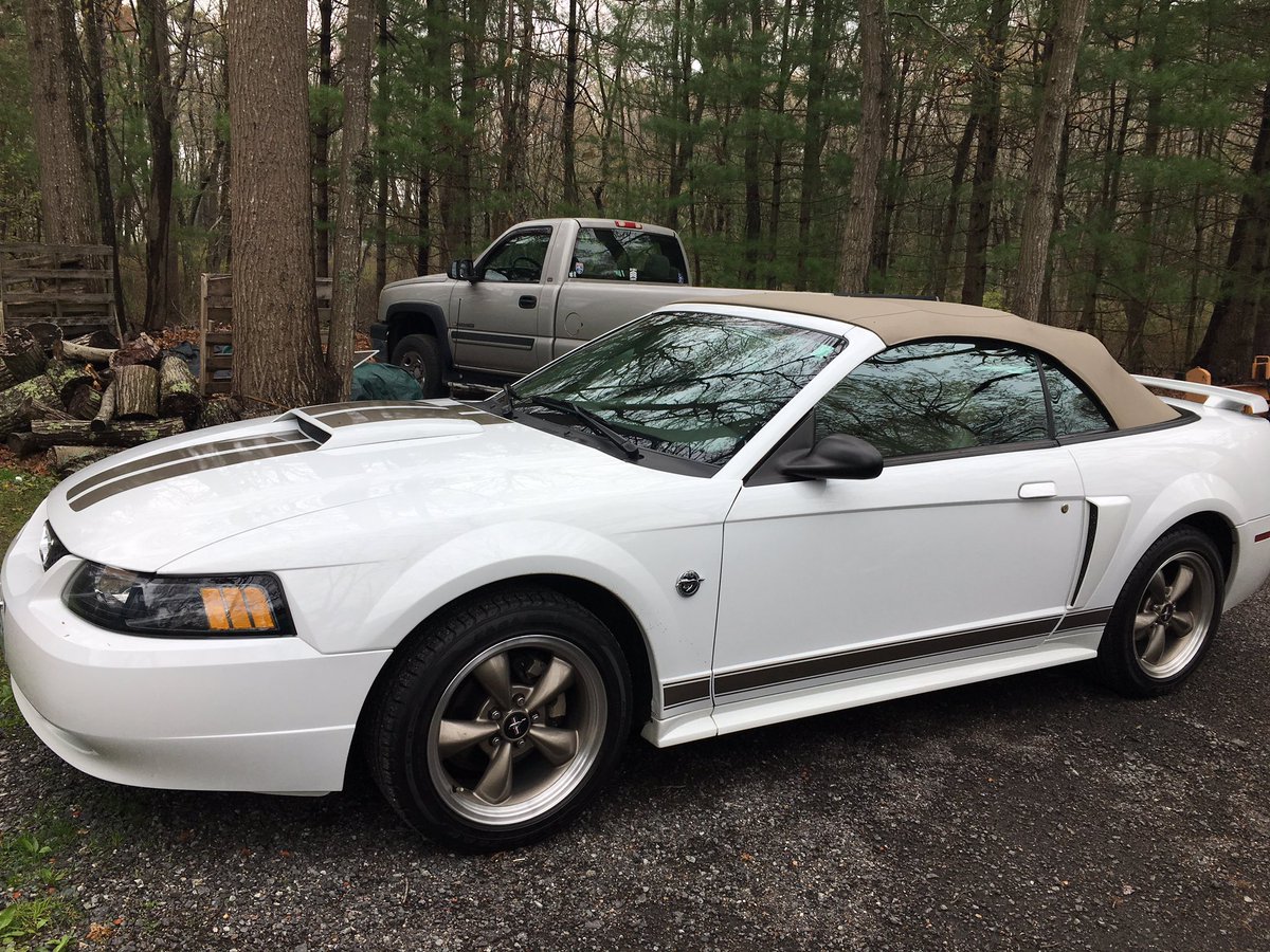 M_Spagetti's tweet image. @TheHornyMike @RyanAtCounts @CountsKustoms  #outofstorage #mustang02
#letthefunbegin